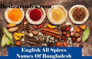 সকল মসলার ইংরেজী নাম || English All Spices Names Of Bangladesh