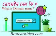 ডোমেইন নেম কি? What is Domain name?