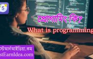 প্রোগ্রামিং কি ? প্রোগ্রামিং এর কাজ কি ? প্রোগ্রামিং শিখে কি ইনকাম হবে ? What is programming?