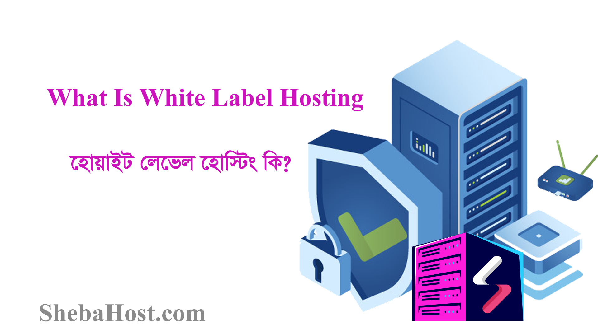 https://www.bestearnidea.com/wp-content/uploads/2023/09/What-Is-White-Label-Hosting.png