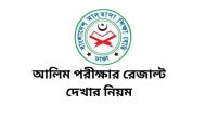আলিম পরীক্ষার রেজাল্ট দেখার নিয়ম