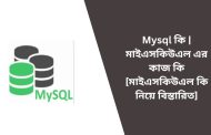 Mysql কি | মাইএসকিউএল এর কাজ কি [মাইএসকিউএল কি নিয়ে বিস্তারিত]