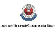 SSC রেজাল্ট চেক করার নিয়ম