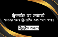 ফ্রিল্যান্সিং জব ক্যাটাগরি - সবচেয়ে সহজ ফ্রিল্যান্সিং কাজ কোন গুলো