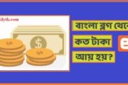 ব্লগ মানে কি ? ব্লগ থেকে কিভাবে অনলাইন টাকা আয় করবেন।