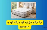 ৬ ফুট বাই ৭ ফুট ম্যাট্রেস প্রাইস ইন বাংলাদেশ ২০২৬