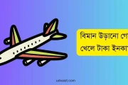 বিমান উড়ানো গেম খেলেই আয় করুন প্রতিদিন