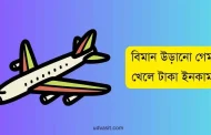 বিমান উড়ানো গেম খেলেই আয় করুন প্রতিদিন