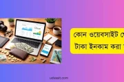 ২০২৬ সালে কোন ওয়েবসাইট থেকে টাকা ইনকাম করা যায়? সেরা লিস্ট দেখুন