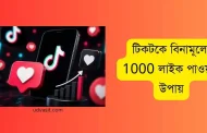 টিকটকে বিনামূল্যে 1000 লাইক পাওয়ার উপায়: ১ ক্লিকে ৫০০ লাইক