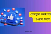 ফেসবুকে অটো লাইক পাওয়ার উপায়: বিস্তারিত জানুন