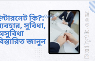ইন্টারনেট কি? ব্যবহার, সুবিধা, অসুবিধা বিস্তারিত জানুন